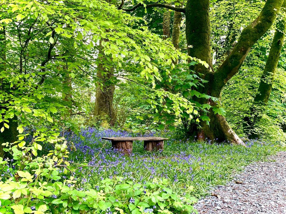 Snowdonia Holidays Caravan Hire - Aberdunant Park - 34 The Green Prenteg 外观 照片