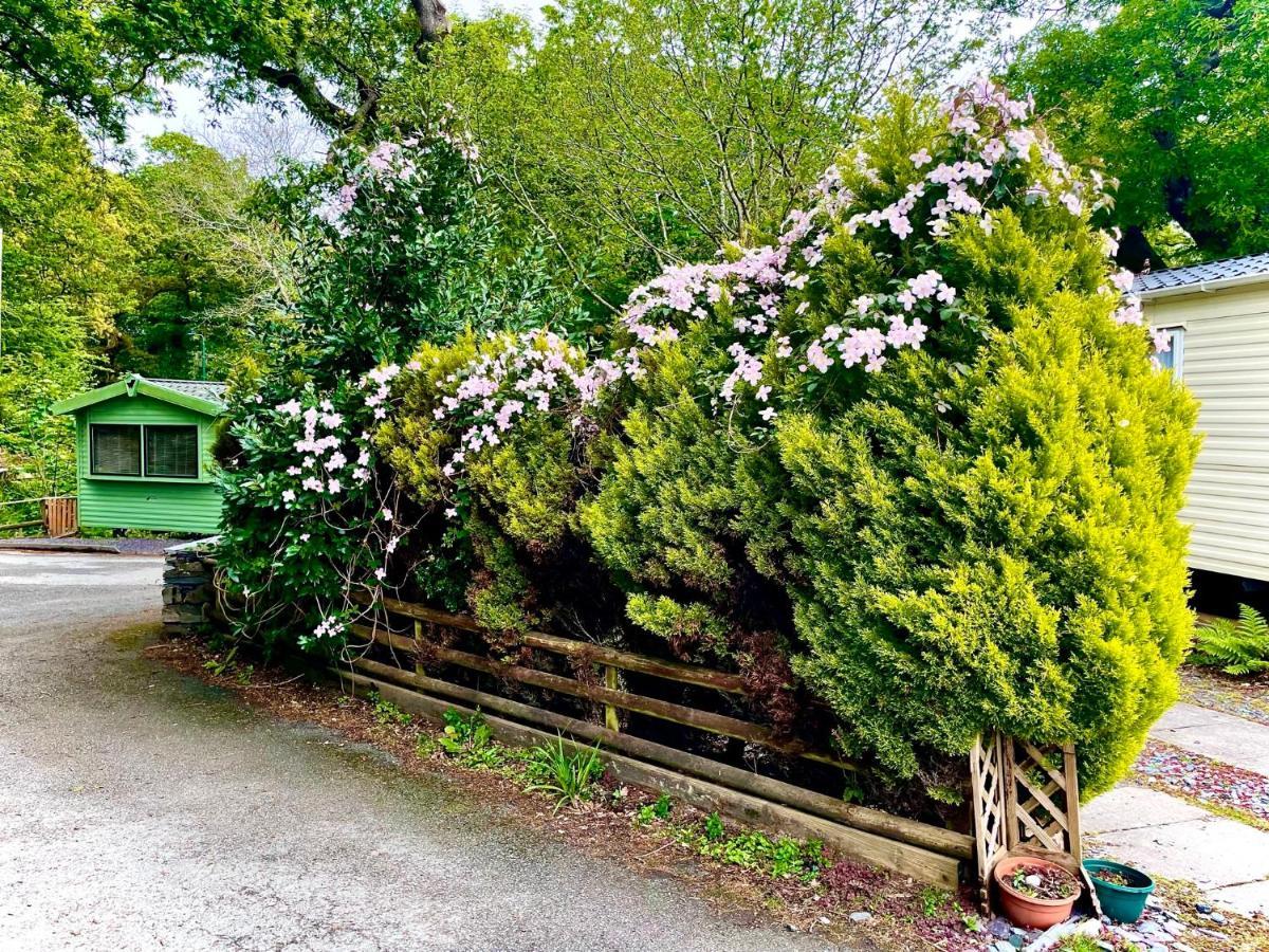 Snowdonia Holidays Caravan Hire - Aberdunant Park - 34 The Green Prenteg 外观 照片