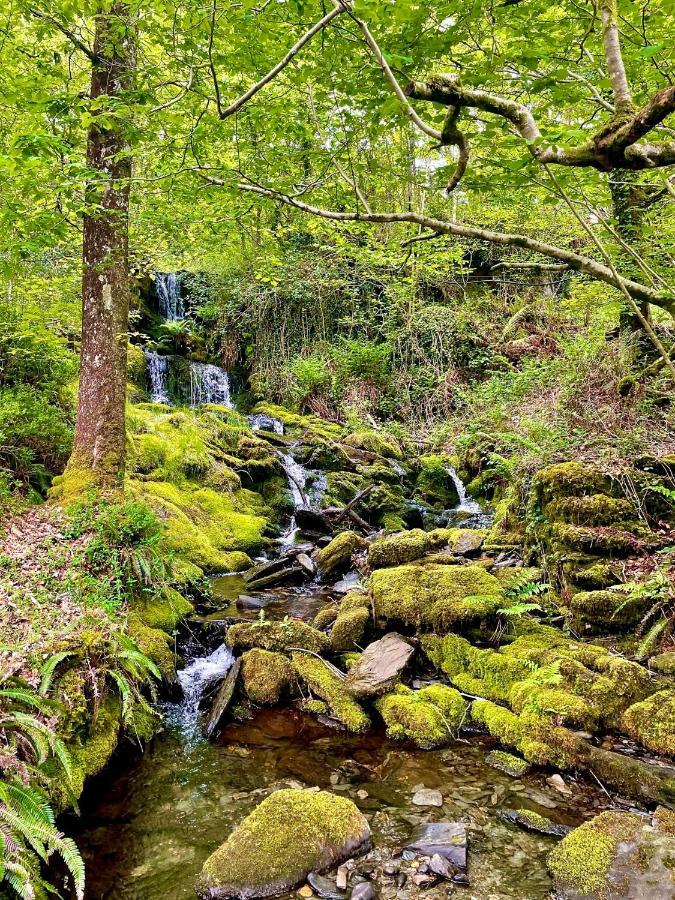 Snowdonia Holidays Caravan Hire - Aberdunant Park - 34 The Green Prenteg 外观 照片